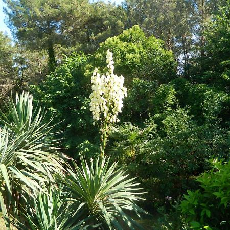 Apartments Vila Vanda Porec Luaran gambar