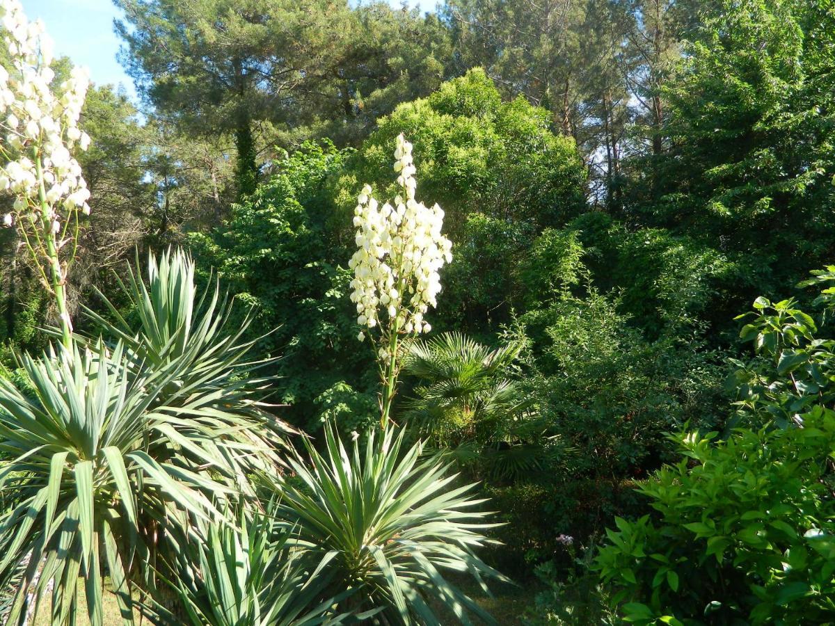 Apartments Vila Vanda Porec Luaran gambar